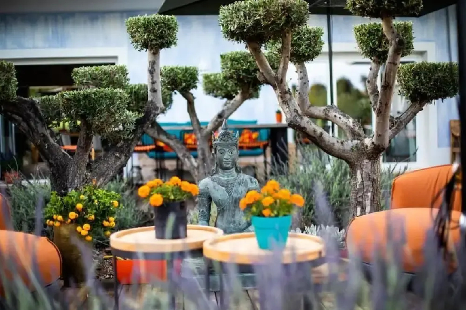 Seeds of Silence Boutique Hotel and Retreat