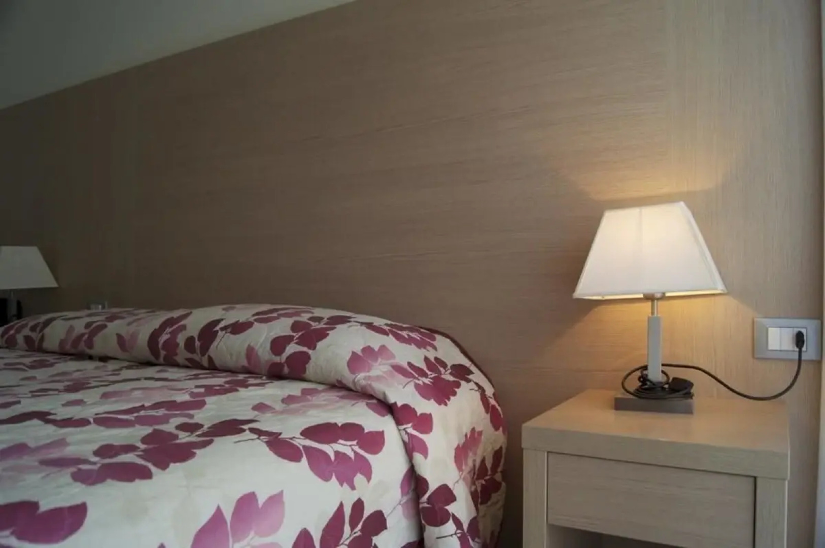 Hotel Aron