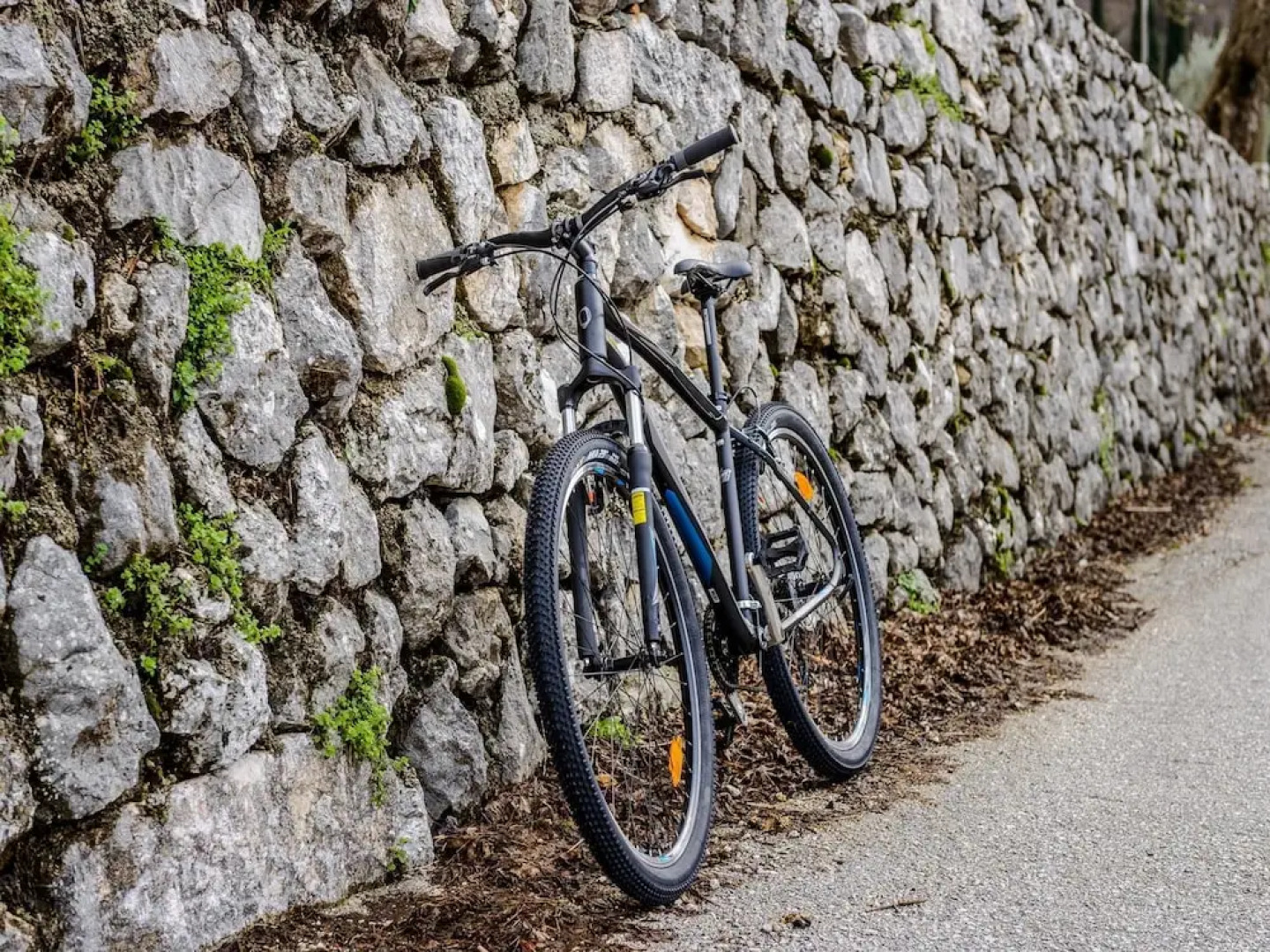 Villa Pave / Six Bedrooms H1