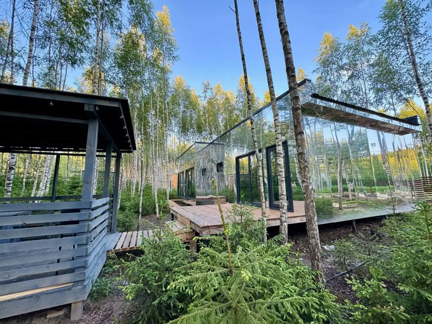 Мы дома - Зеркальный лес