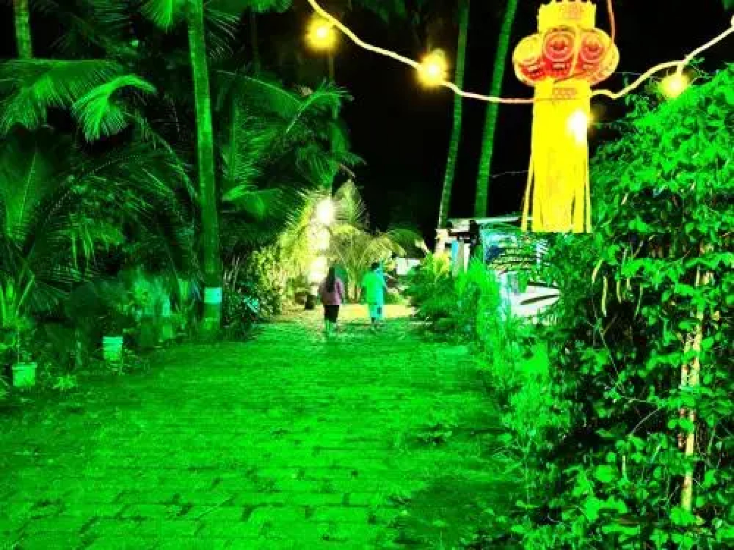 Happy Day's Diveagar