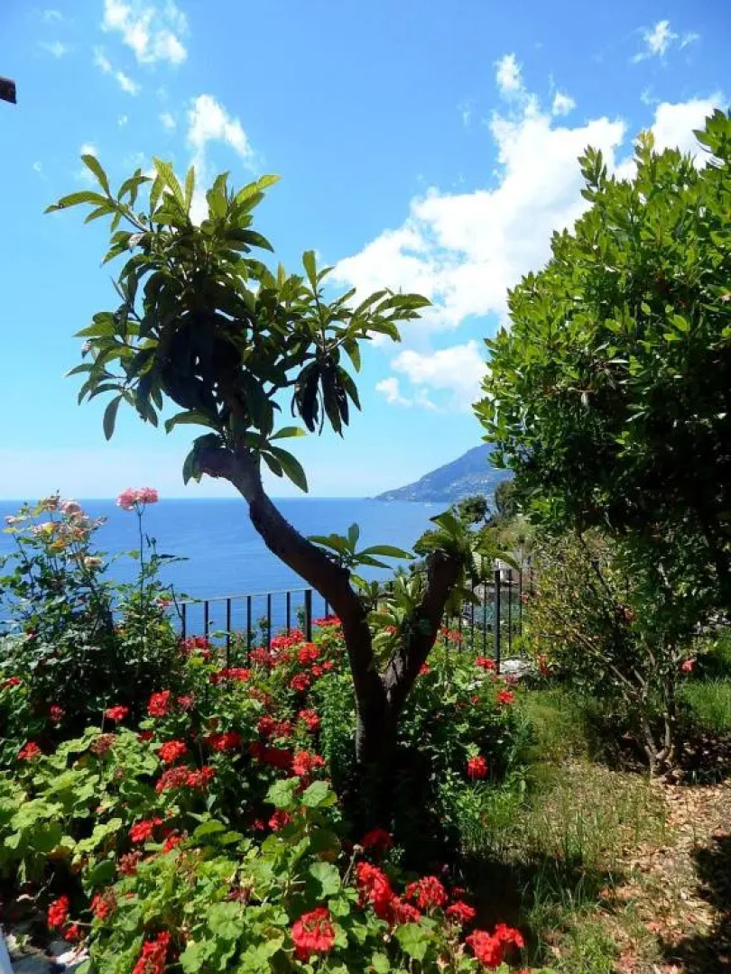 Amalfi View Cottage