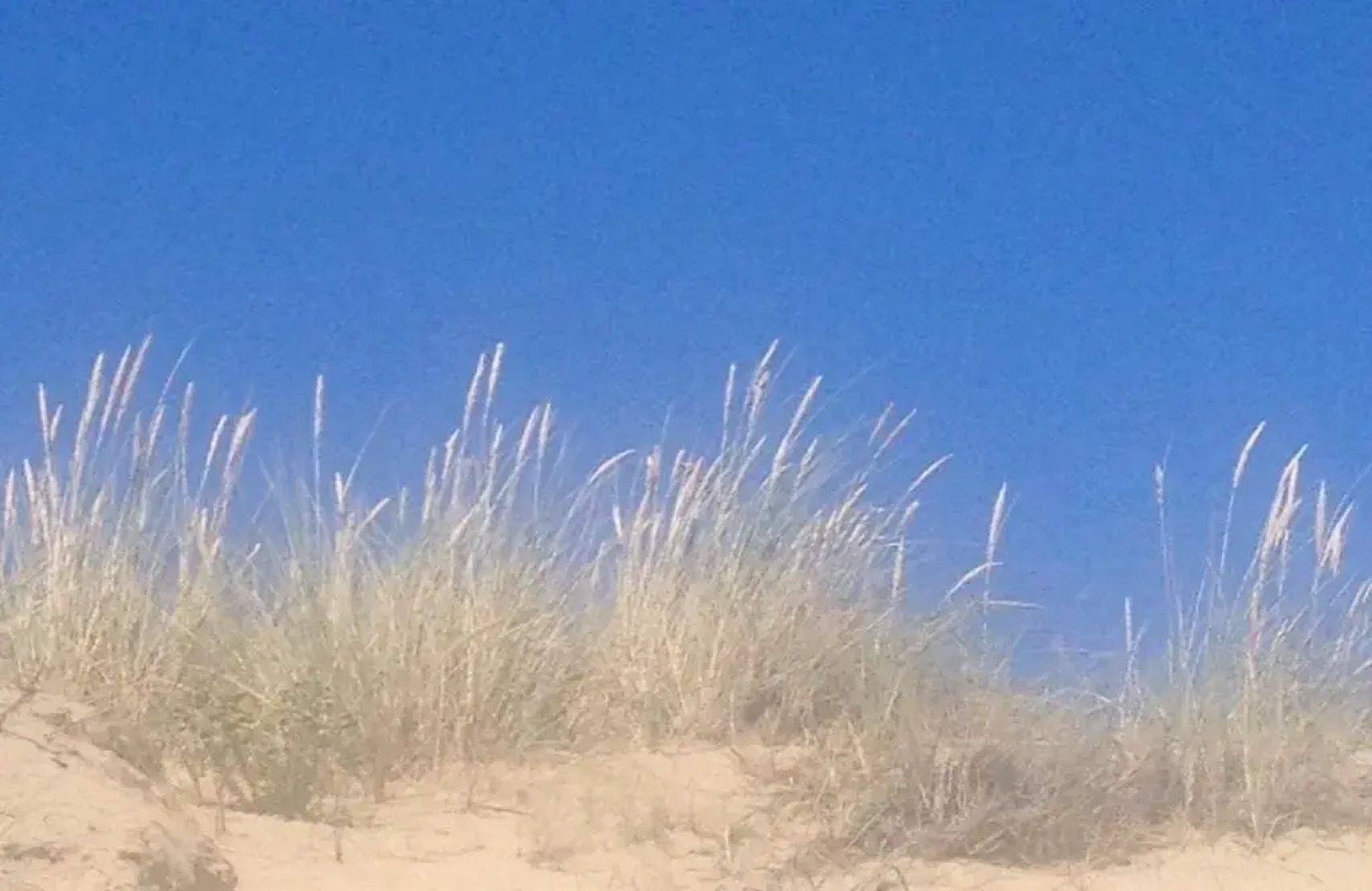 La Claire Eau Chambres d'Hotes