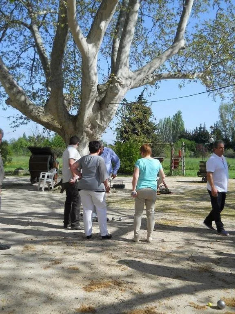 B&B Ferme Auberge Mas Des Vertes Rives