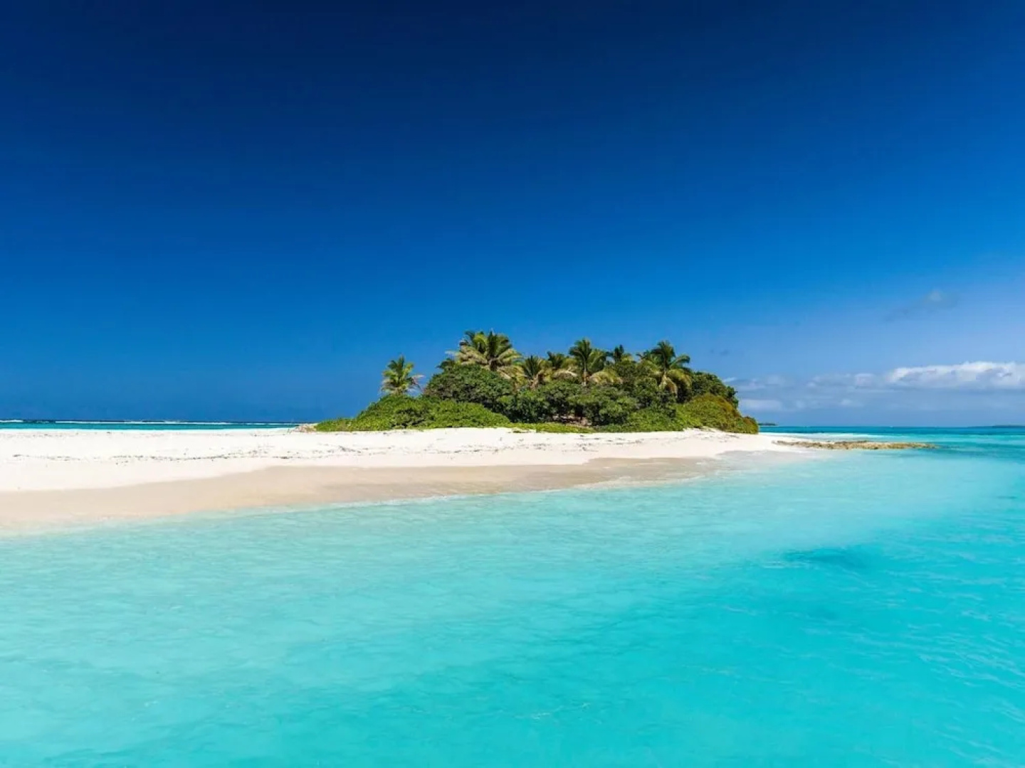 House Of Tonga