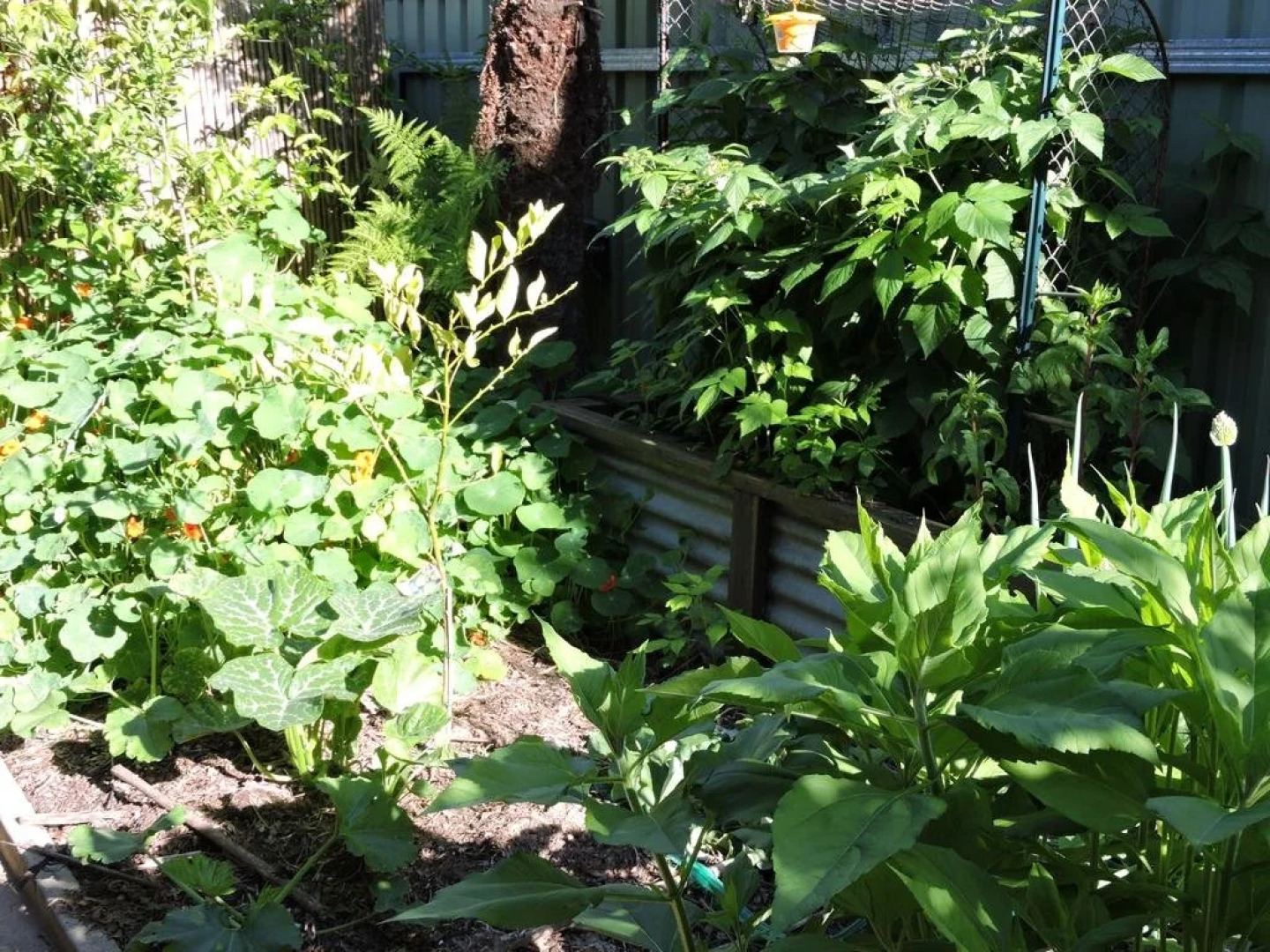 Albury Bed and Breakfast