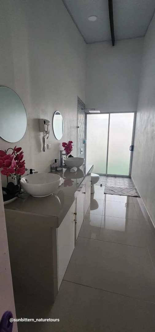 The Babylon Suite Tortuguero