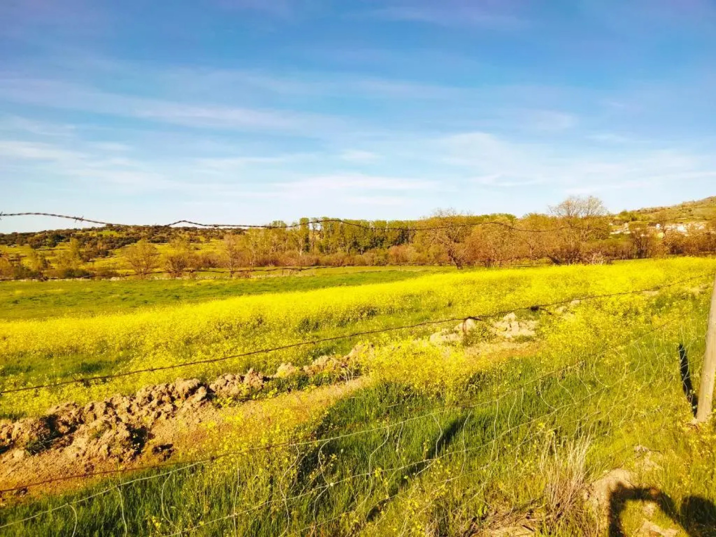 Los Suenos De Javier