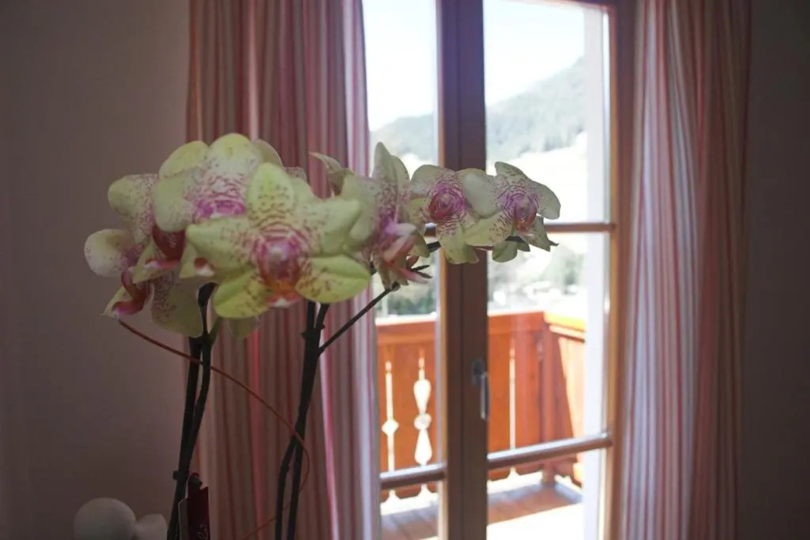 Apartments Dilln Gütl