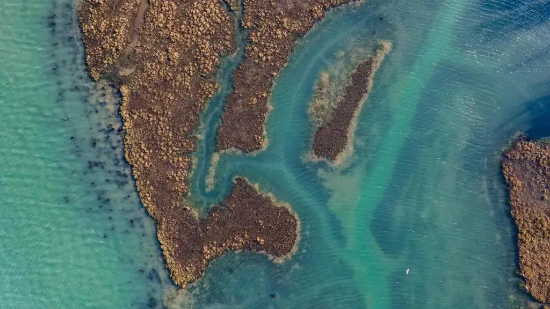 Pinkmead Estate And Vineyard