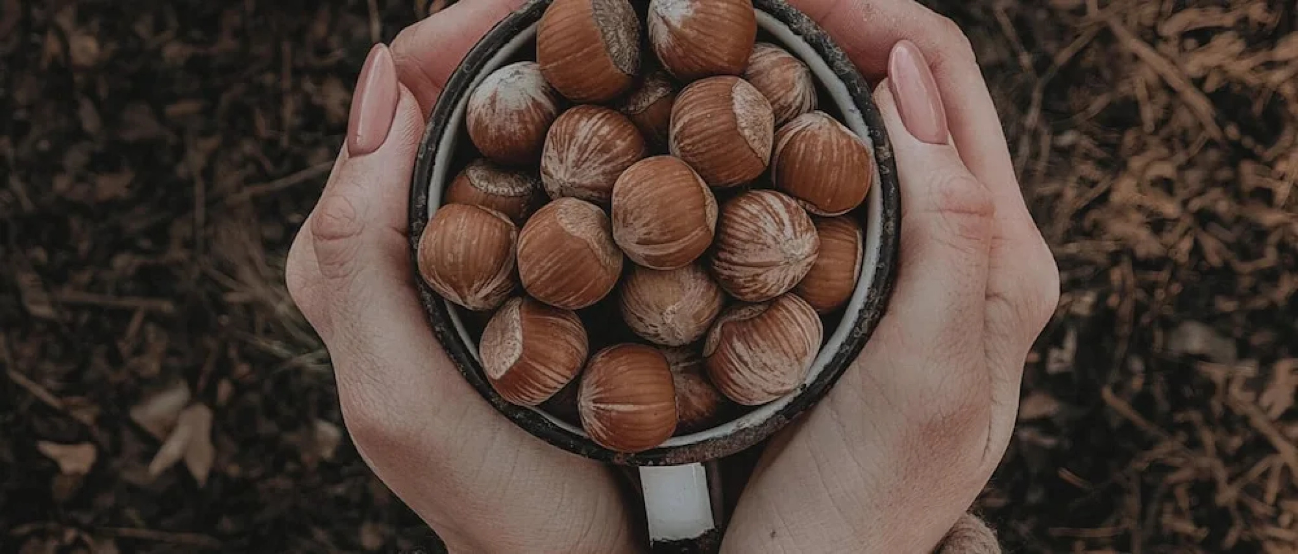 The Woodland Lodge Gisselfeld