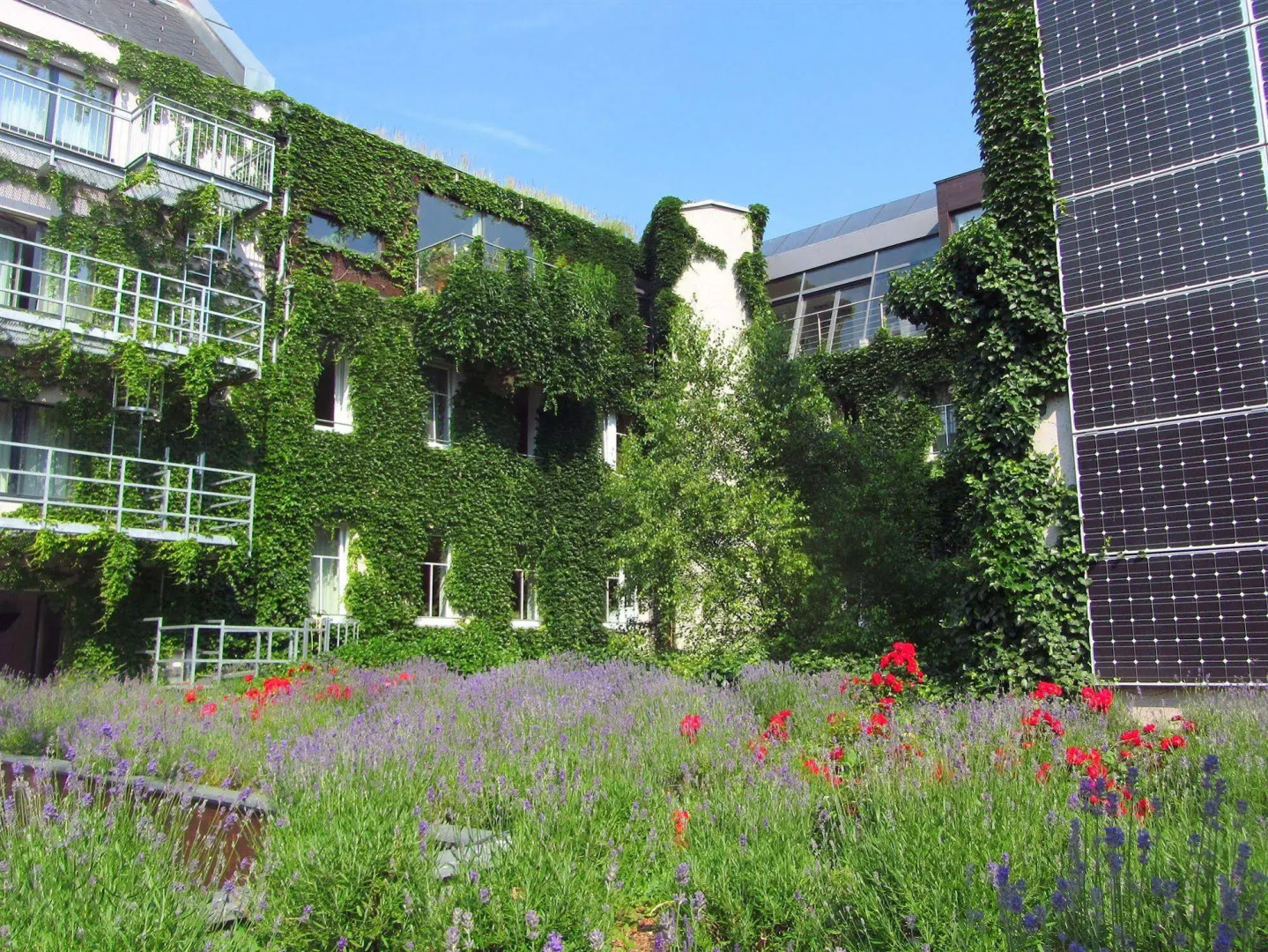 Boutiquehotel Stadthalle