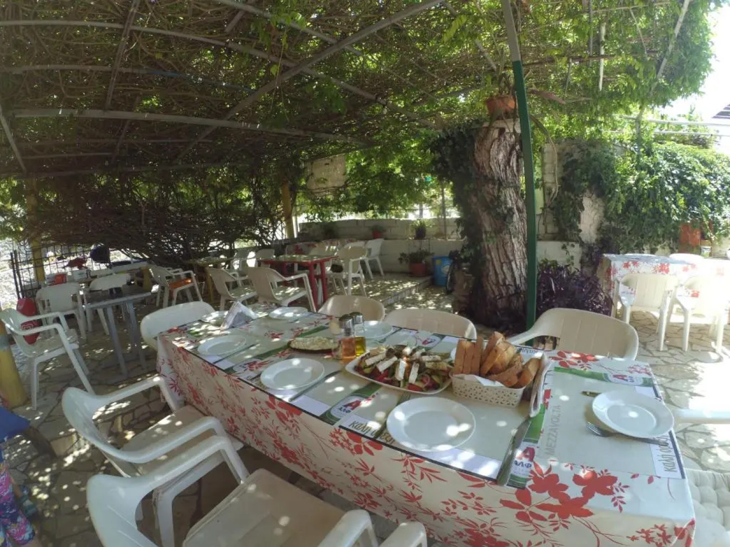 Kostas Walkers Point