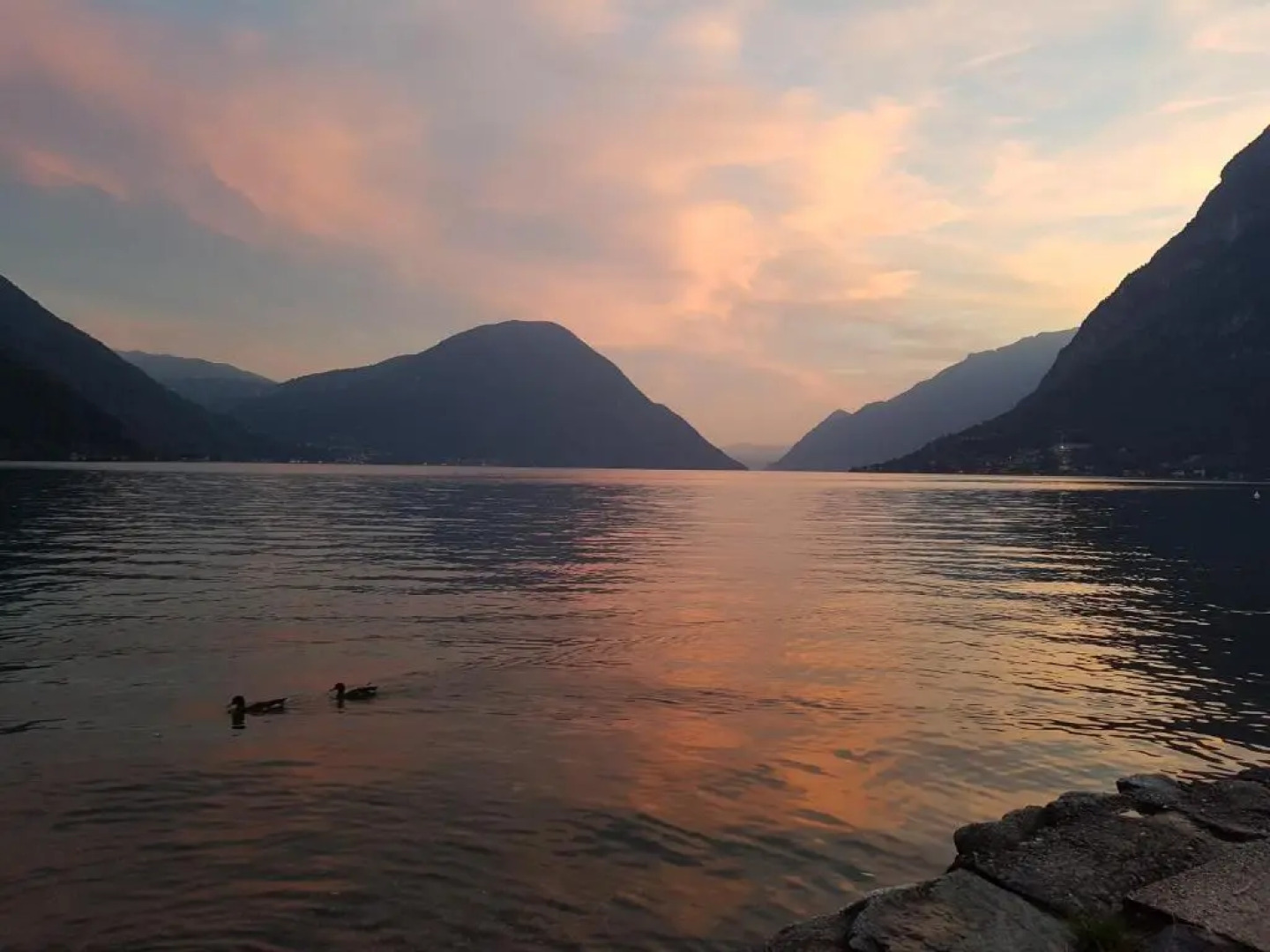 International Camping