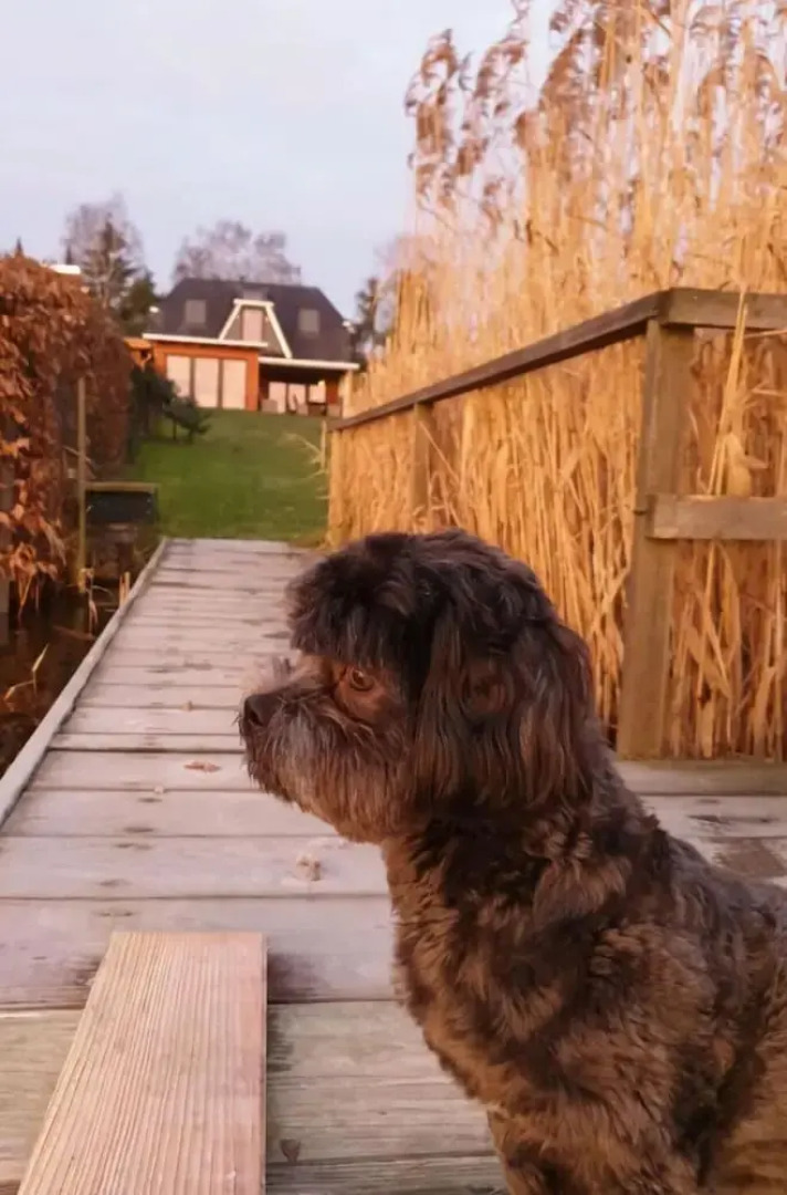 Schaal Lake Residence