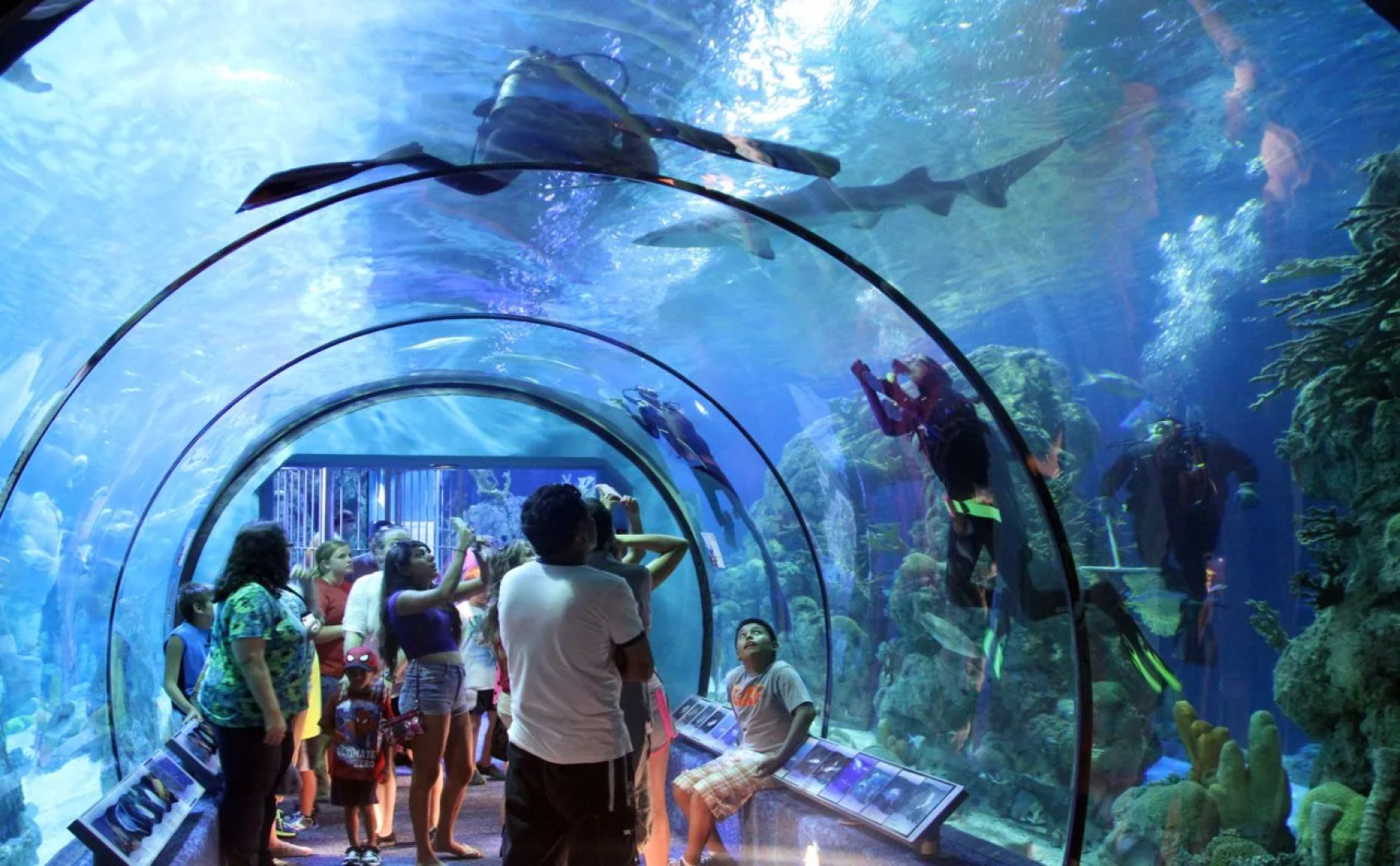 Inn at The Waterpark