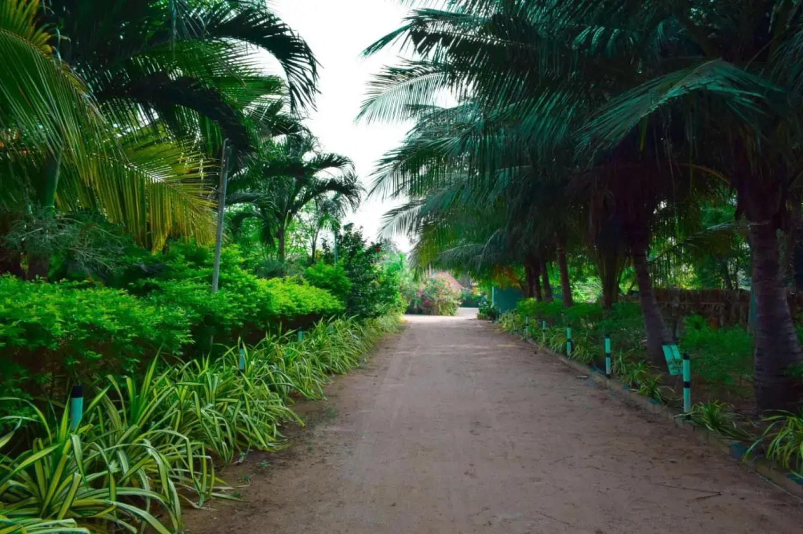Vista Rooms Nilaveli Beach
