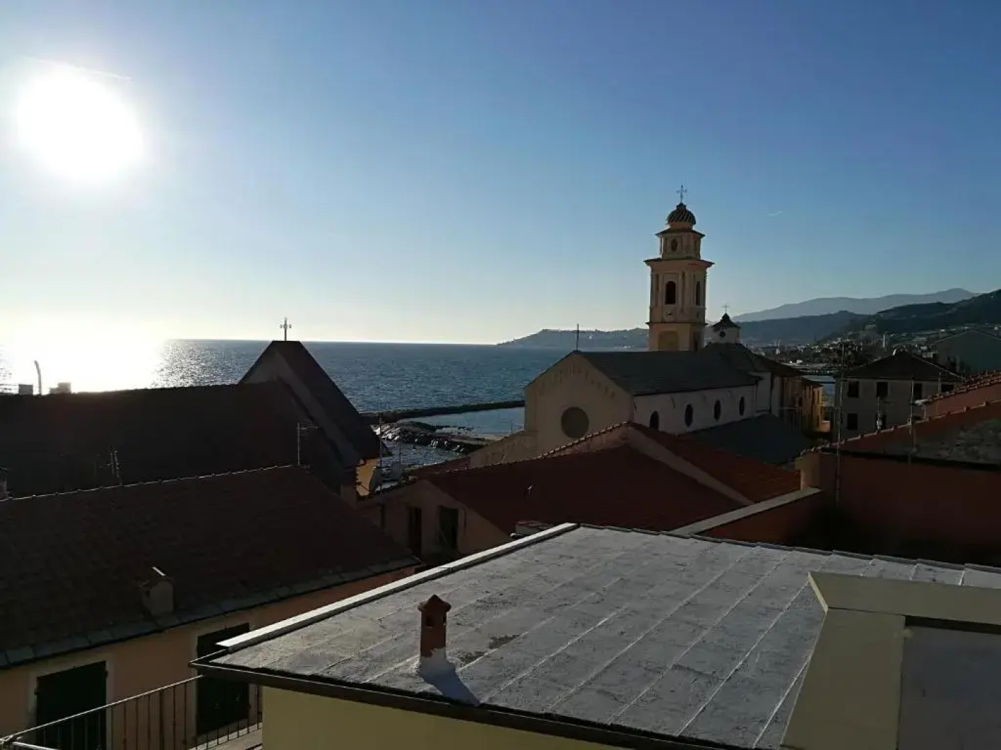 i fiori di santo stefano