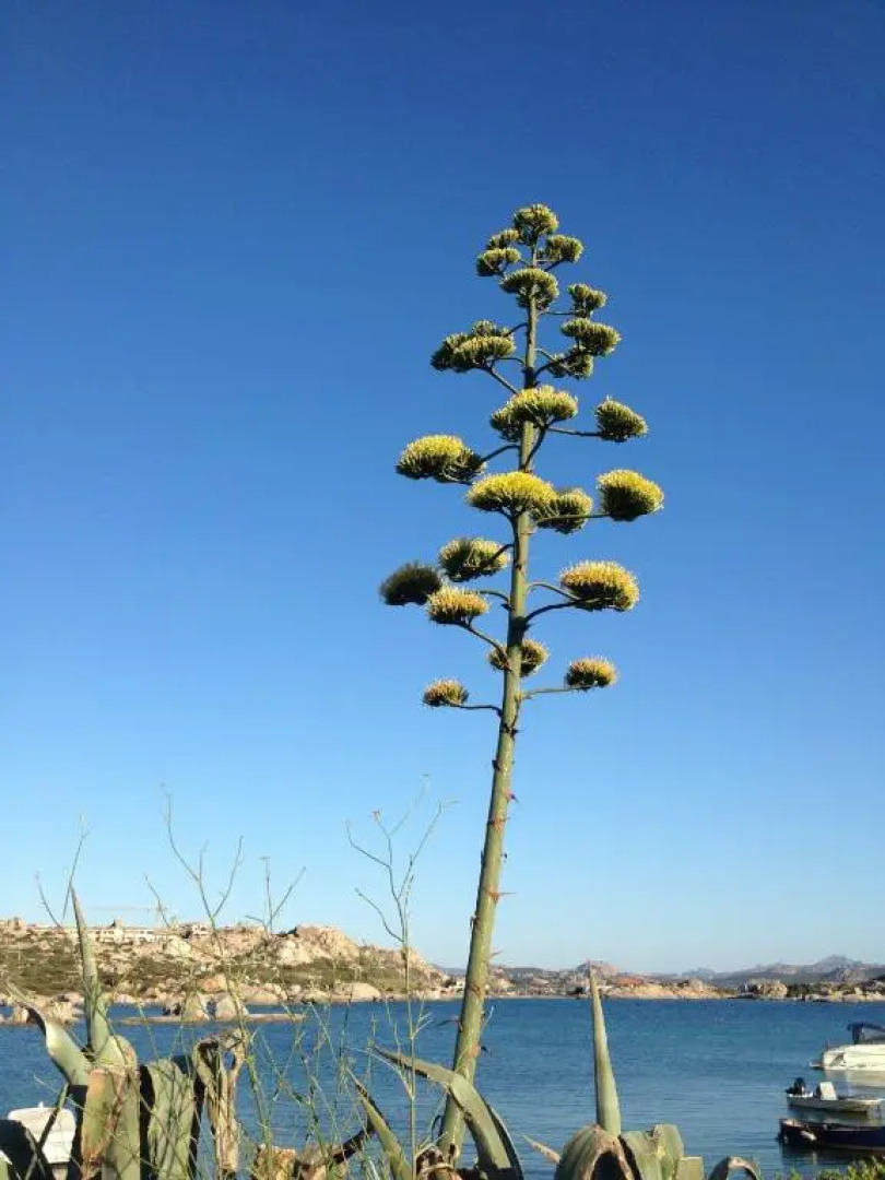 Residenza Via Roma 3