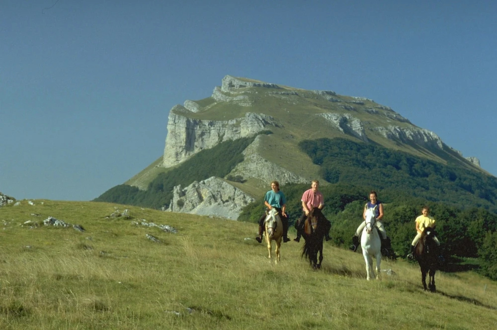 Lovely Renovated Farm in the heart of Drôme