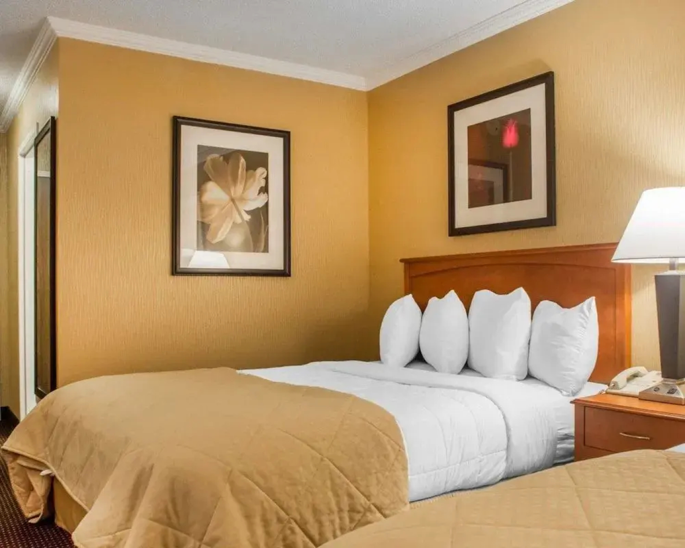 Quality Inn & Suites Riverfront Oswego