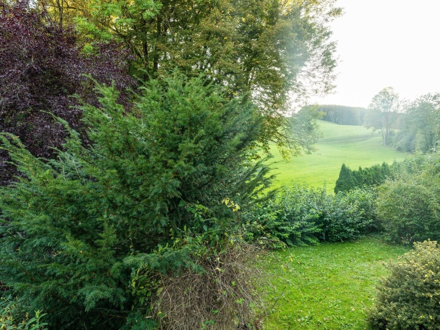 Quiet Chalet in Kaumberg near Vienna with Garden