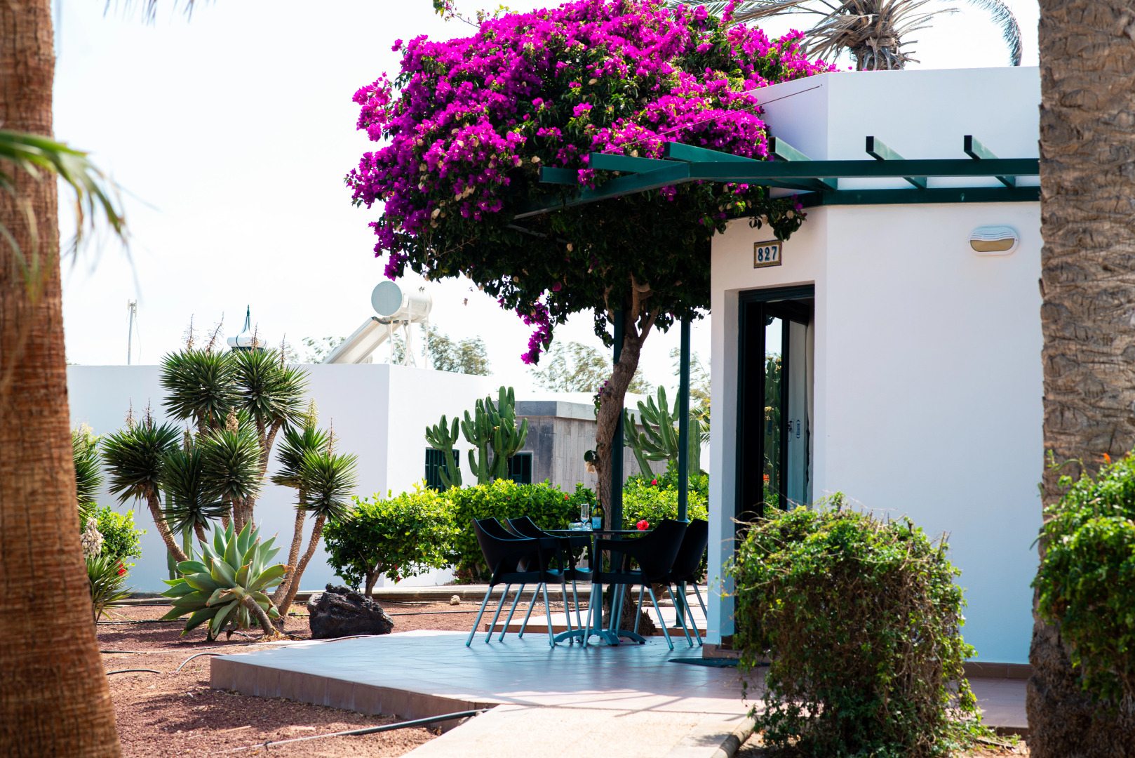 HL Club Playa Blanca Hotel