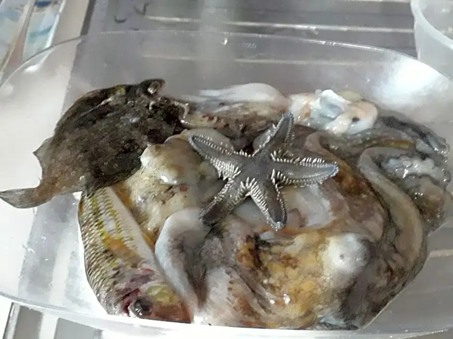 ResidenceU ZU GNAZIU