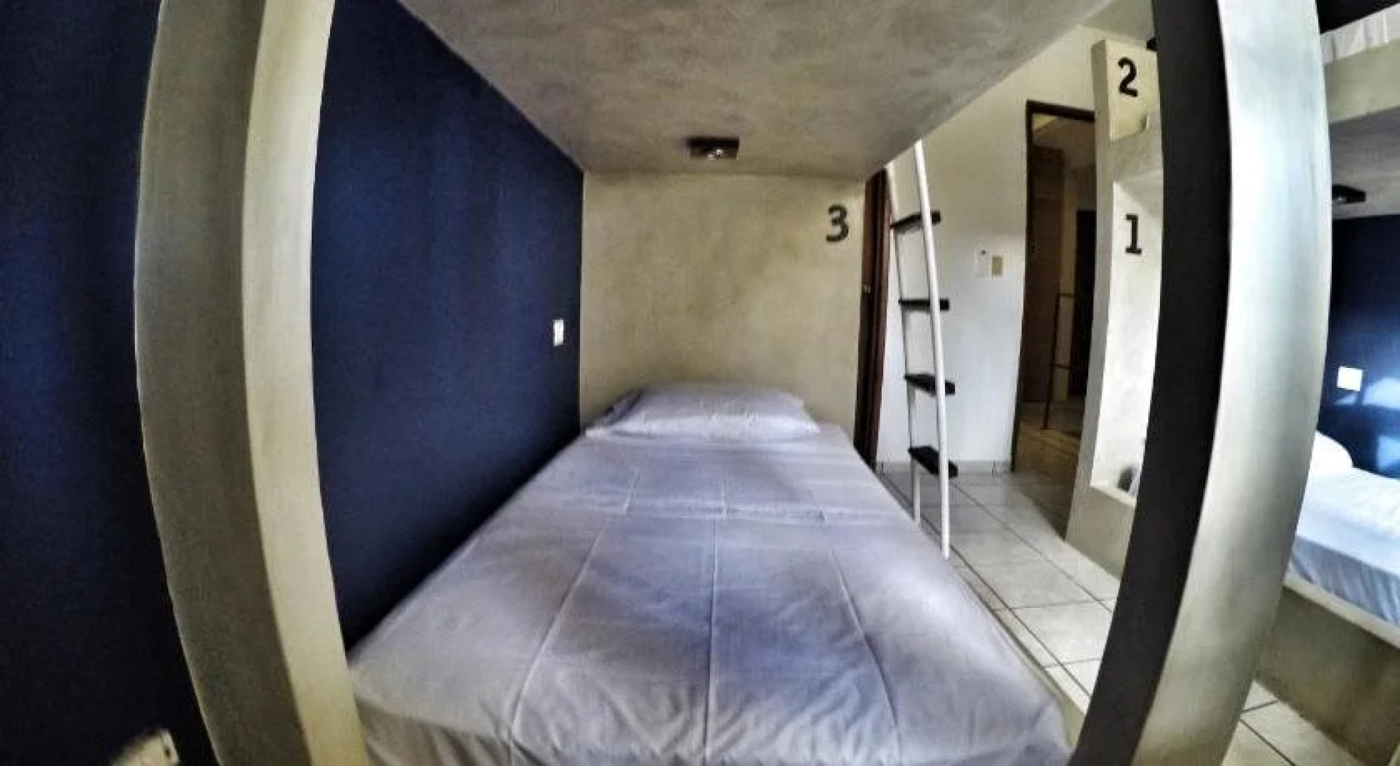 Lobo de Mar Hostel Playa del Carmen