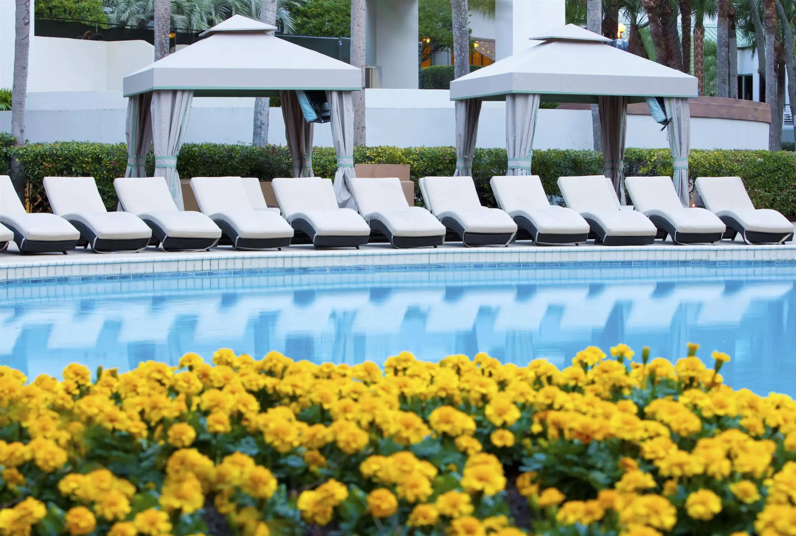 The Westin Hilton Head Island Resort & Spa