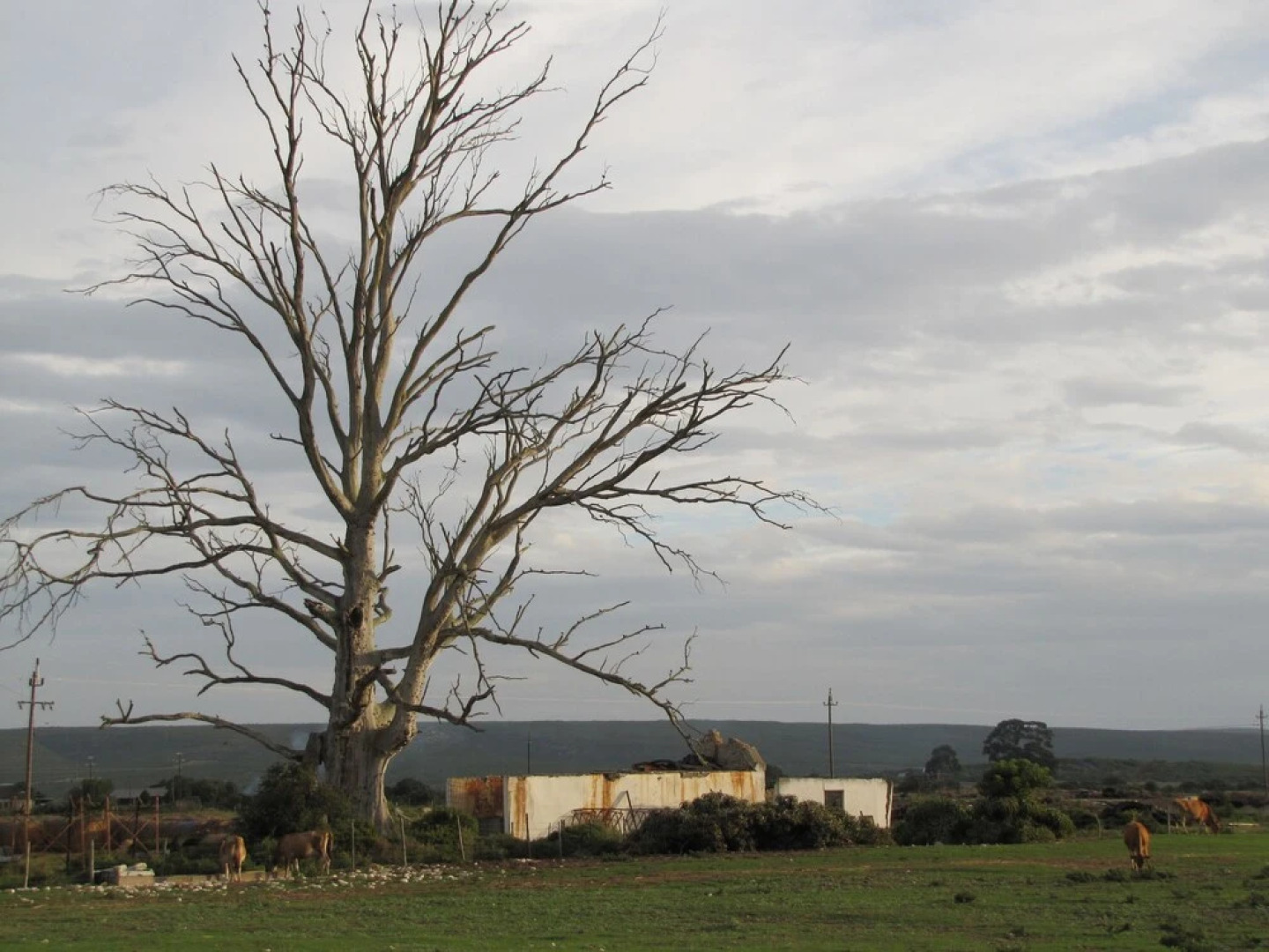 A Farm Story Country House