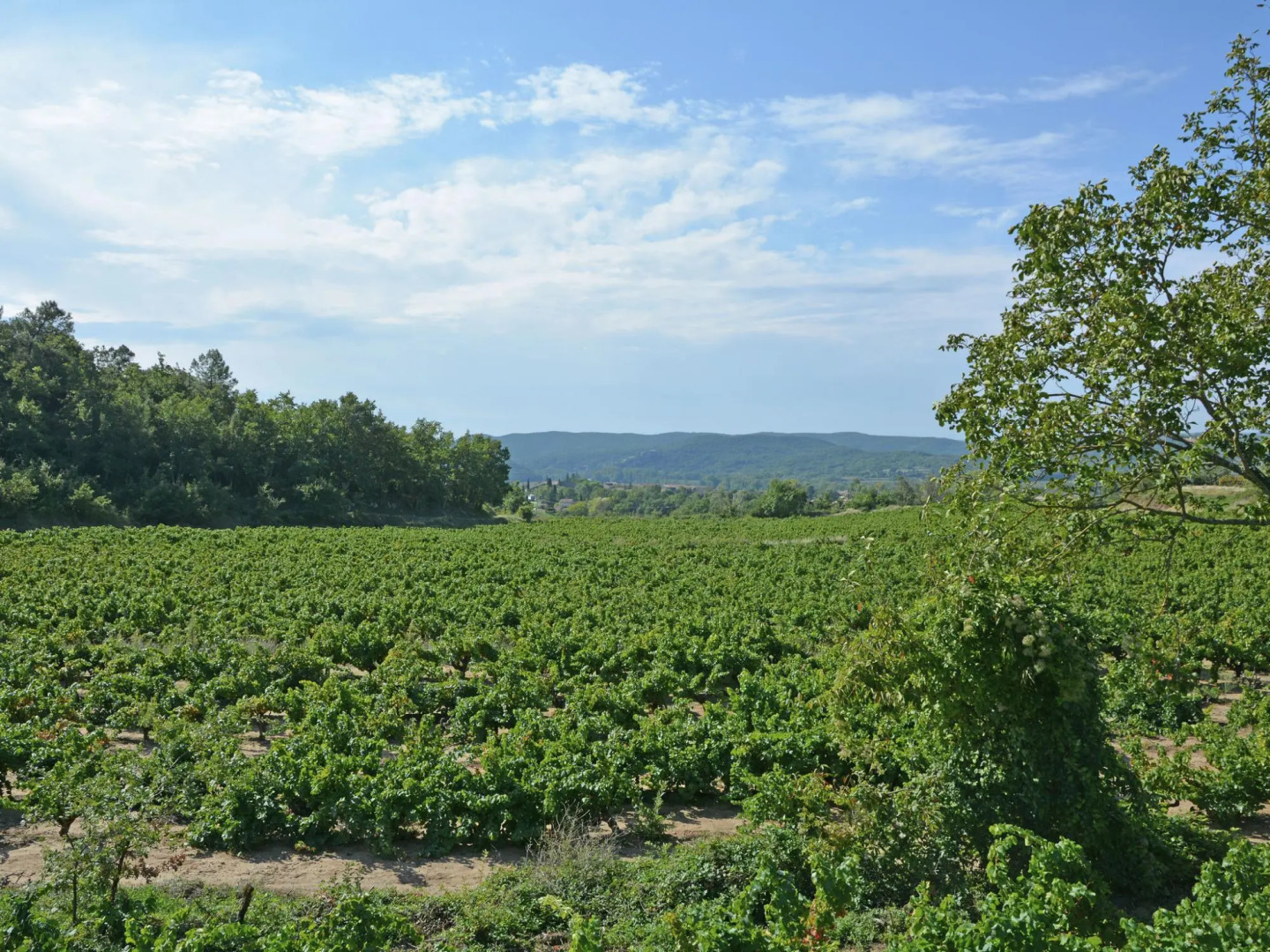 Luxurious Villa in Montouliers With Private Pool