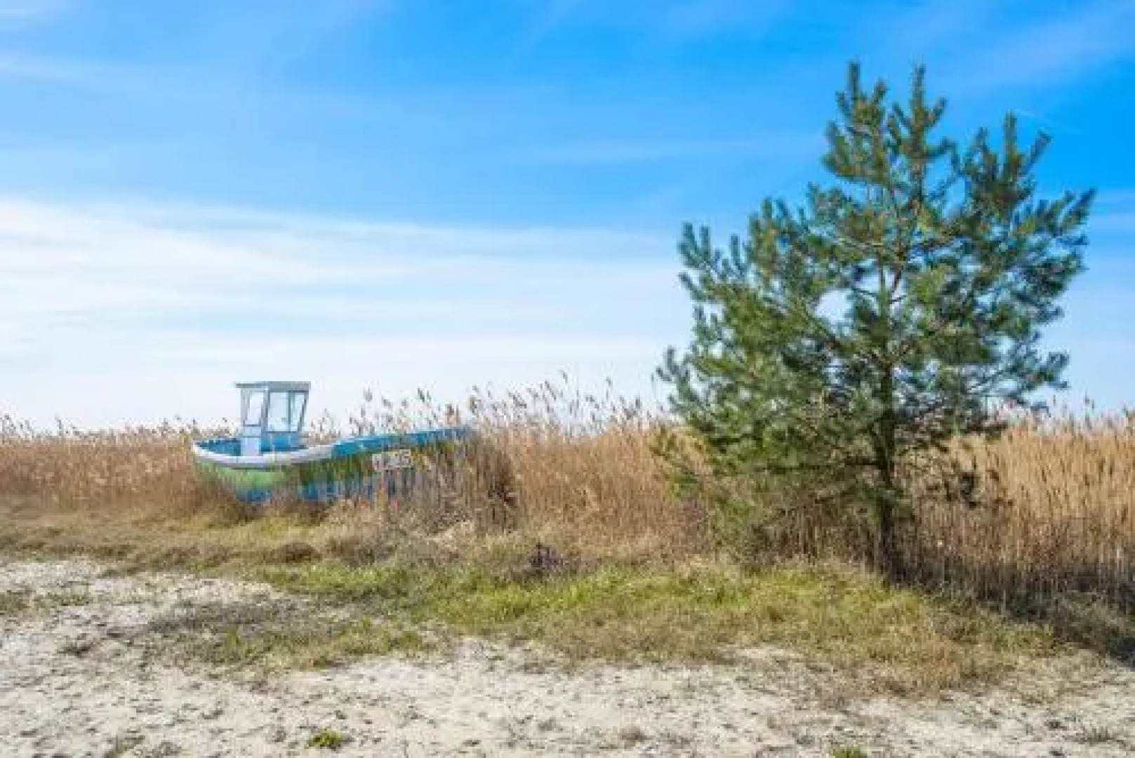 Apartamenty NCNK Willa Turkusowa