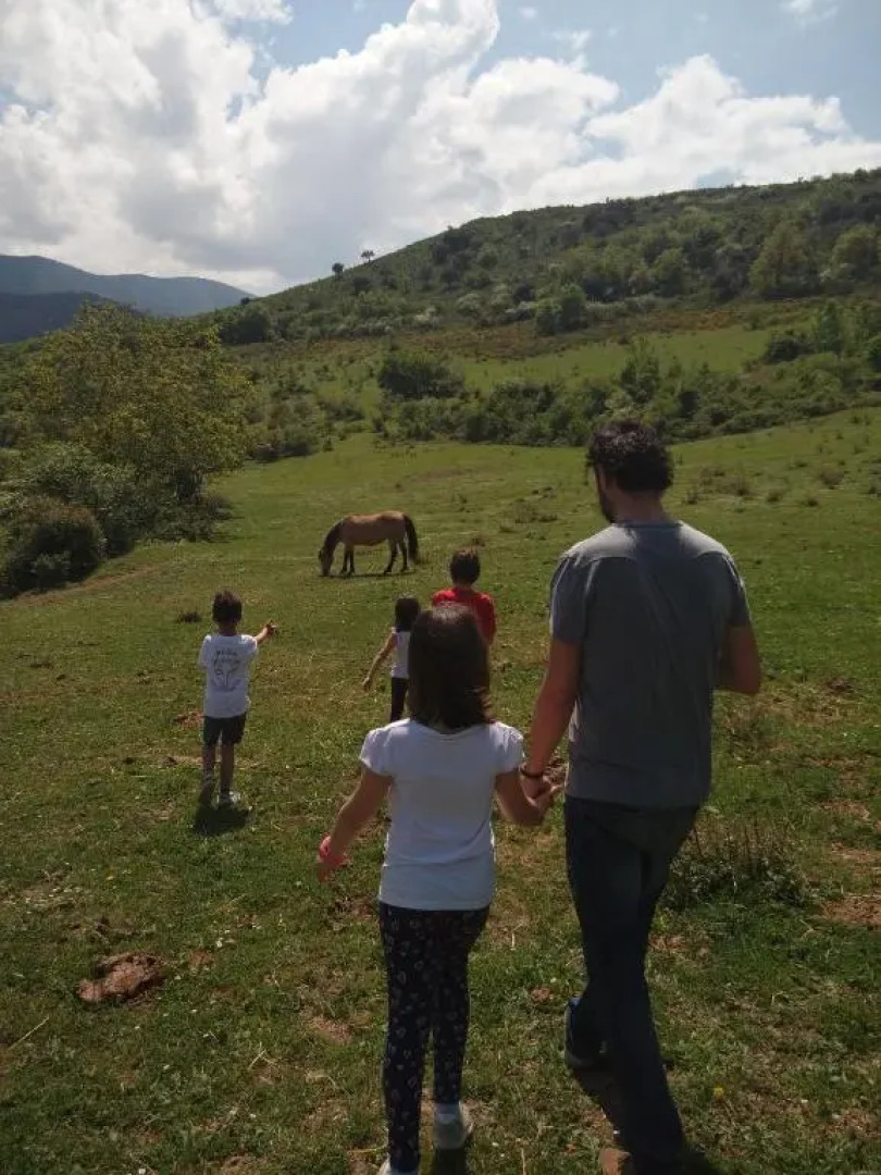 Casa Petra y Armando