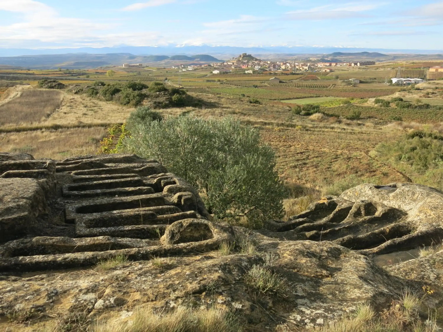 75 Avenida de la Rioja