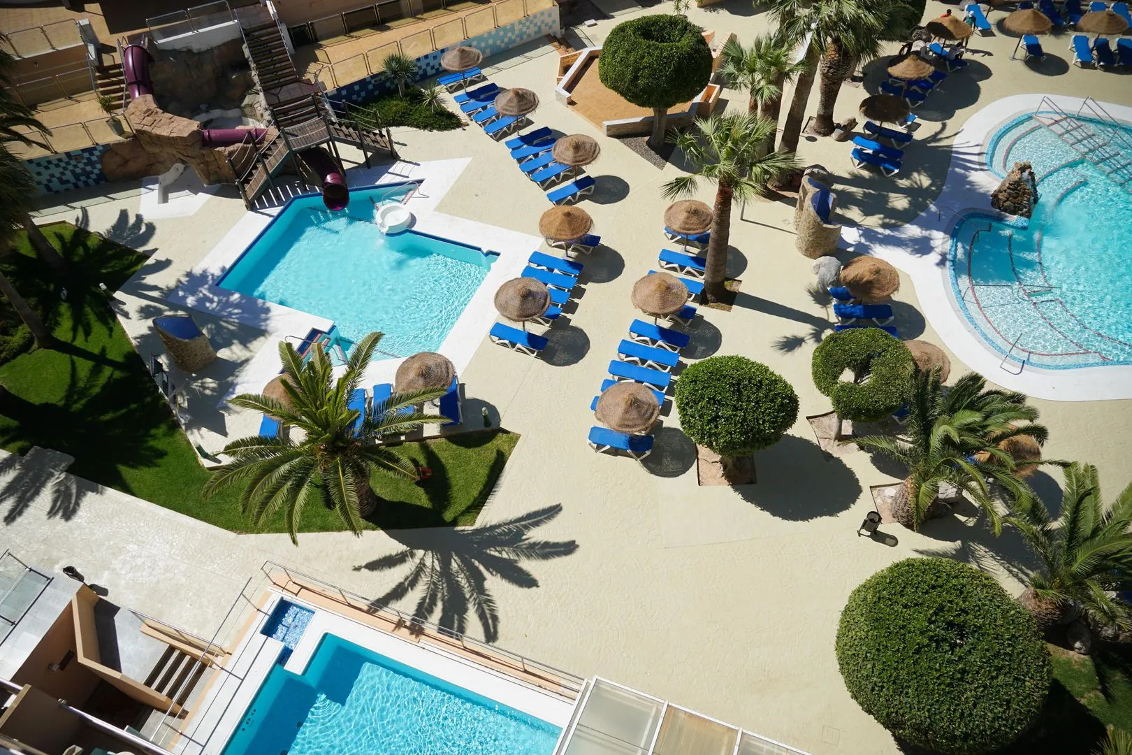 ALEGRIA Fénix Family