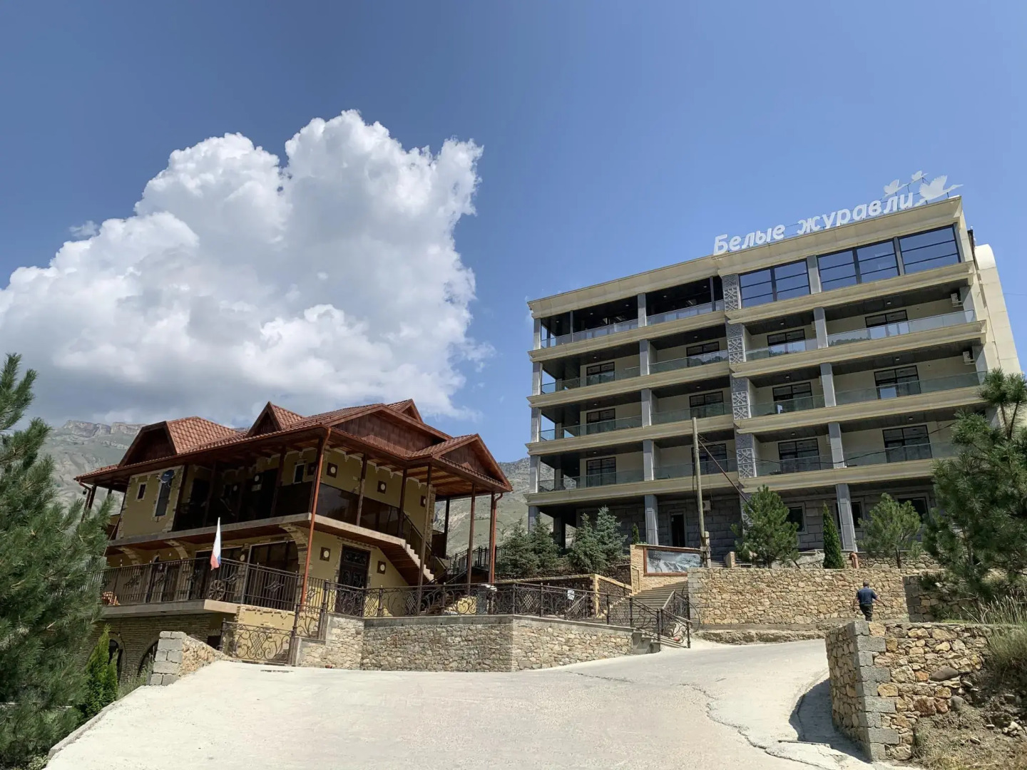 Белые журавли