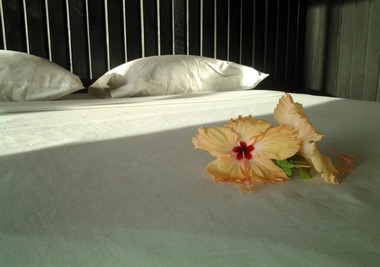 Travellers Beach Resort