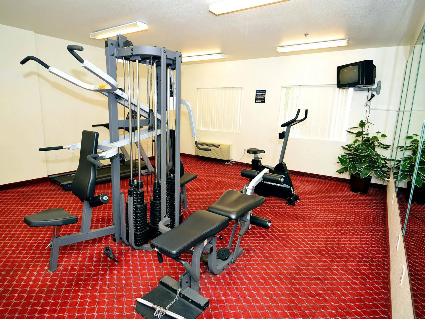 Siegel Select Flamingo