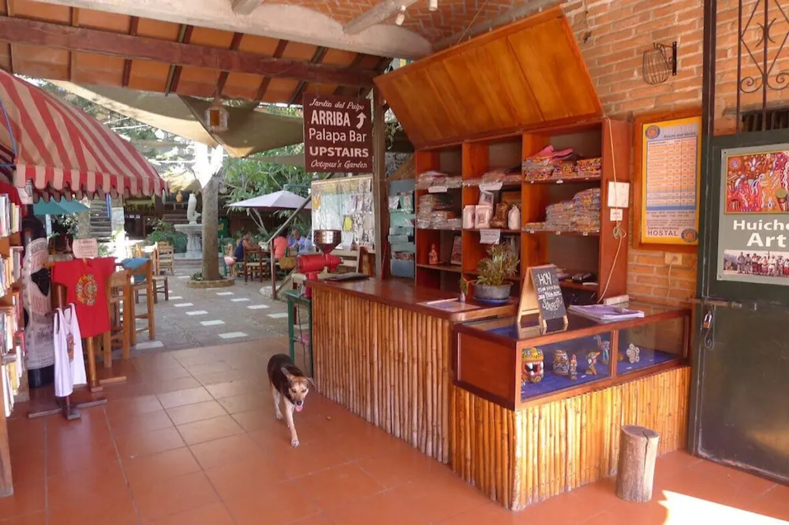 The Octopus's Garden