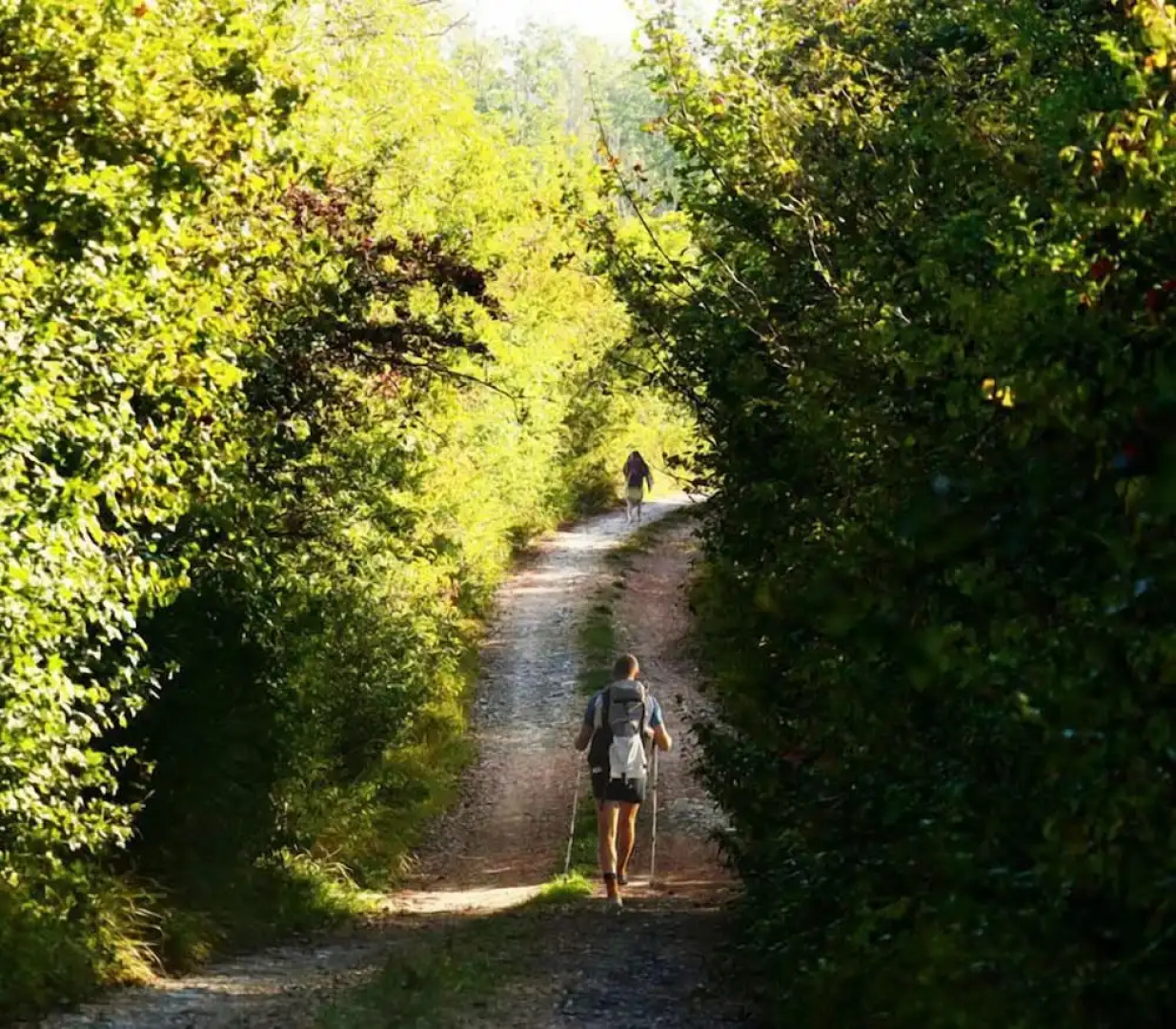 Agriturismo Fattoria Aquilone