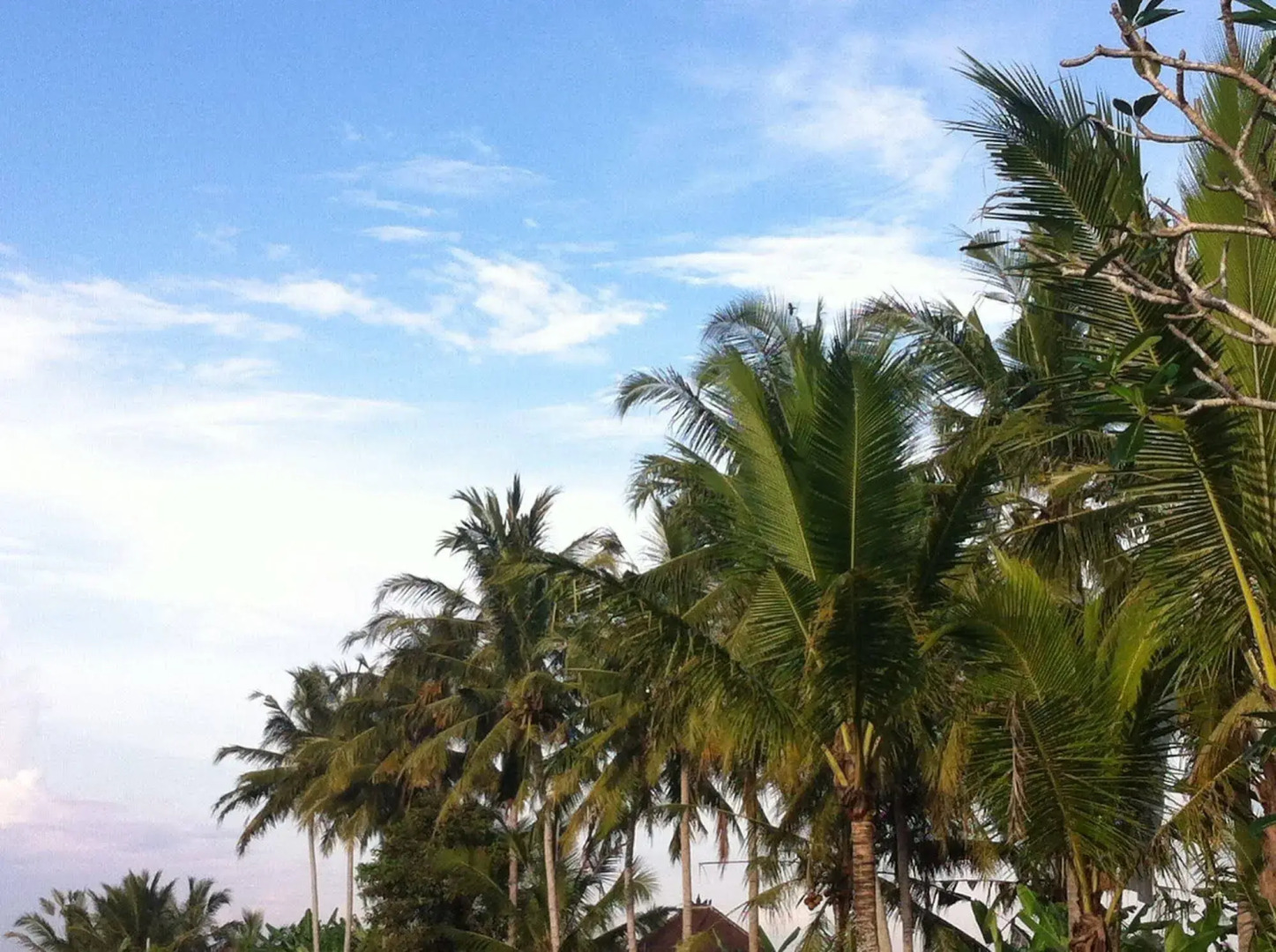 Kanomayasa Ubud Villa