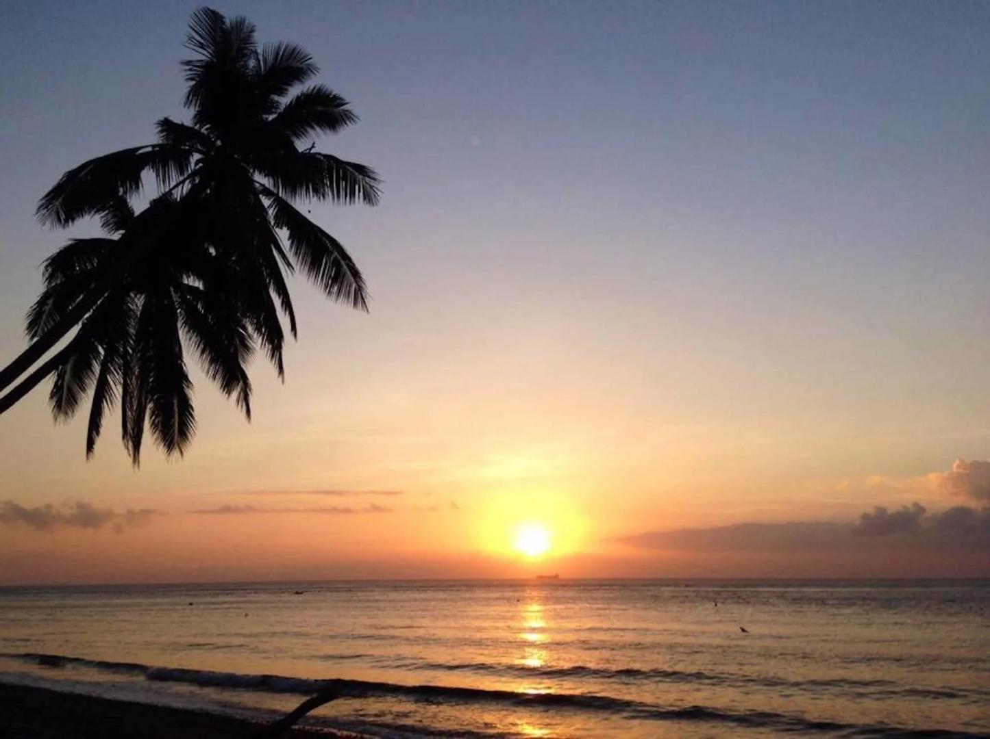 Atlantis Dive Resort Dumaguete