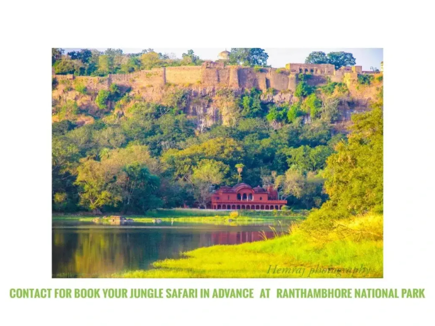 Ranthambore Tiger Home