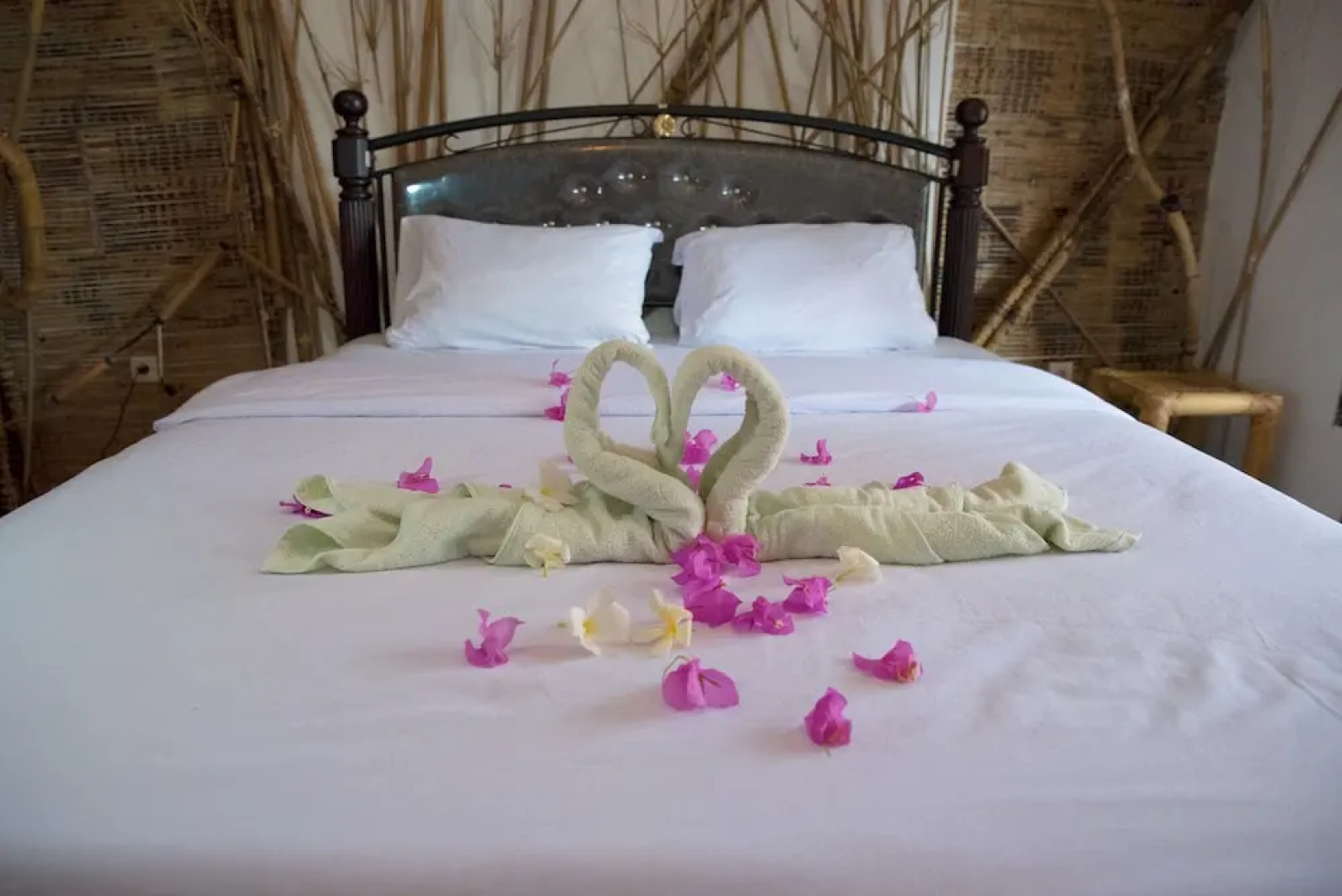 The Rabbit Tree - Hostel