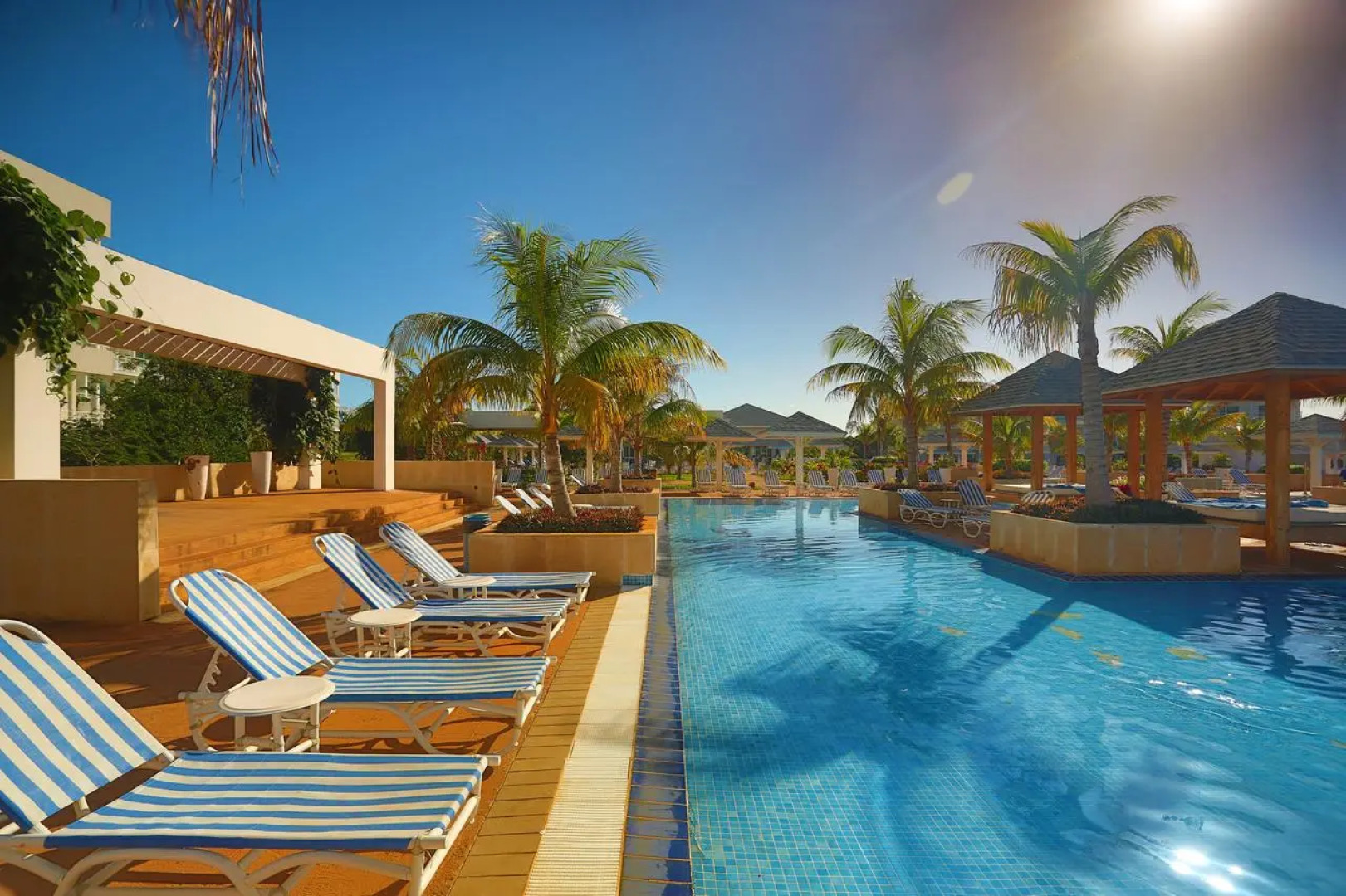 Valentin Perla Blanca