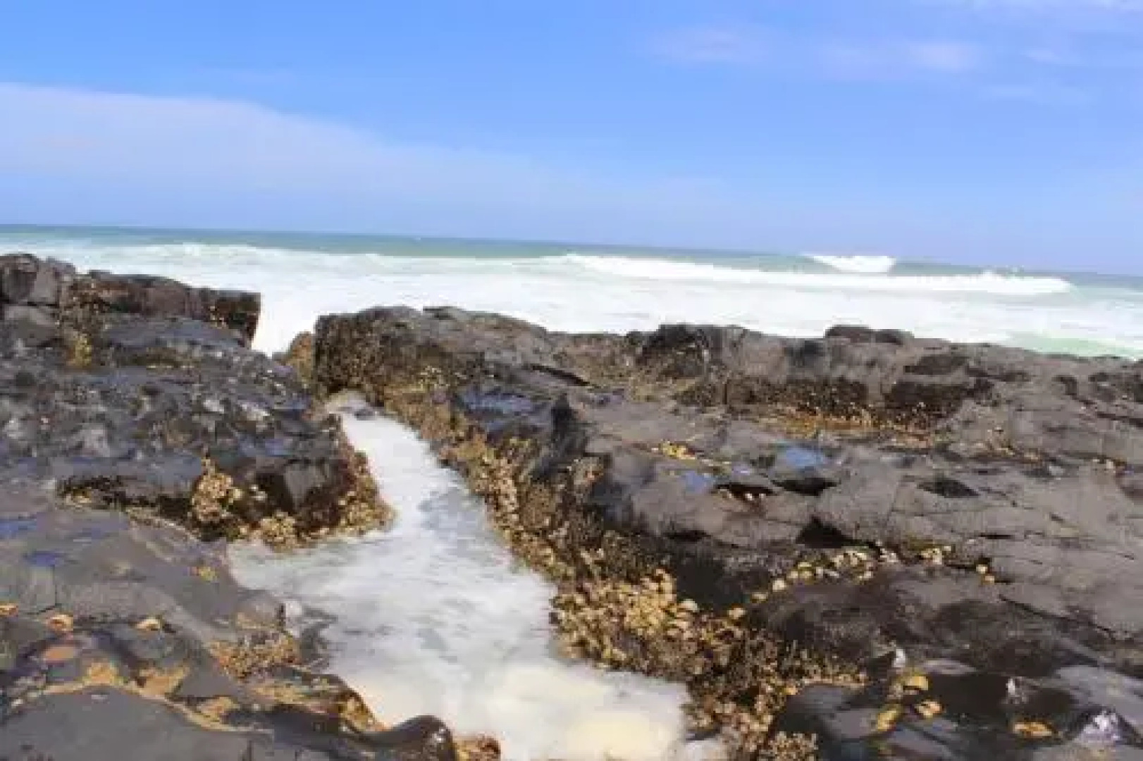 Silver Dolphin Holidays