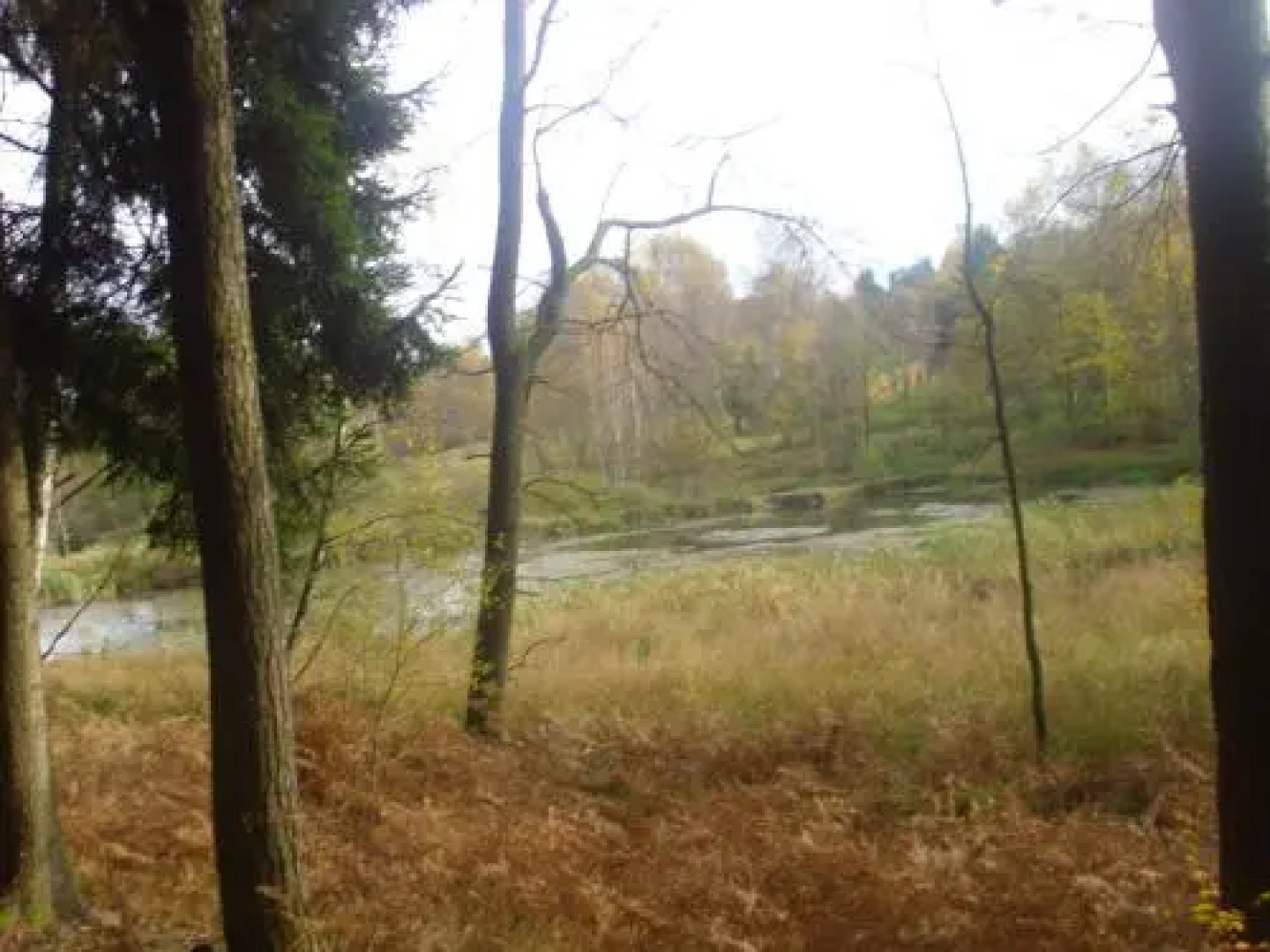 Ubytování v soukromí Salmov - Českosaské Švýcarsko