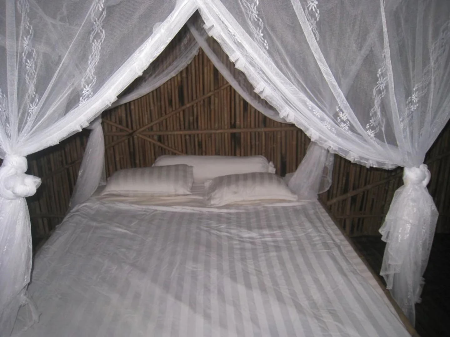 Cat Tien River Lodge