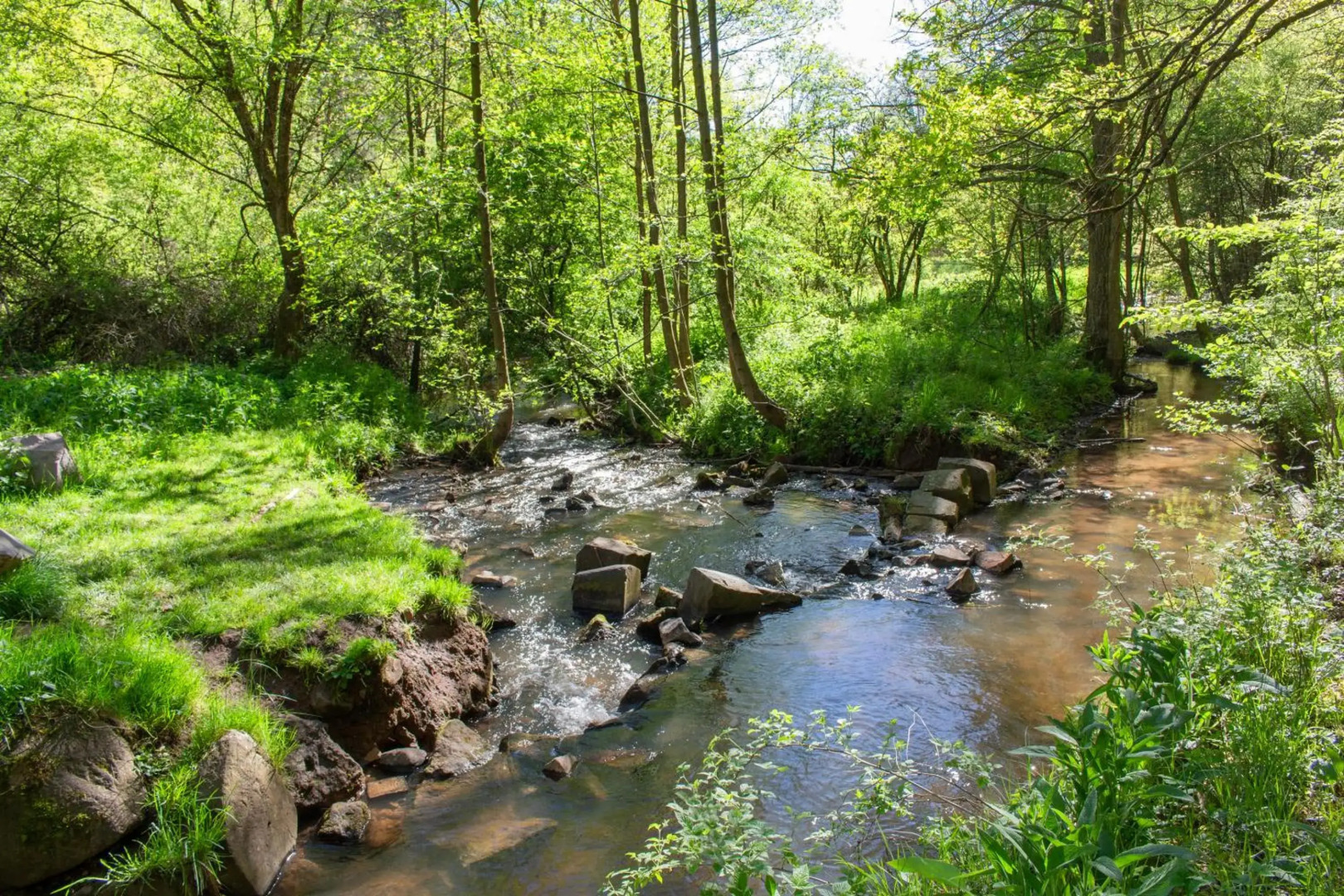 Wonderful Apartment With Great Location